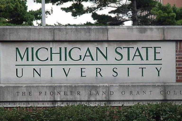 Essay mill websites picture