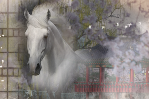 White horse galloping forward with red Japanese gazebo in background