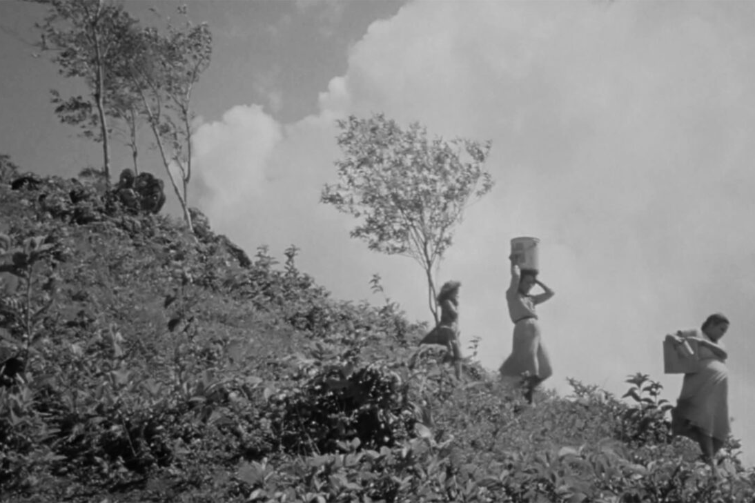 Individuals carrying baskets down a hill.