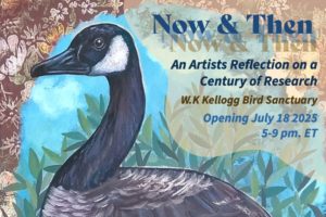Illustrated promotional poster for an art exhibit titled Now & Then: An Artist's Reflection on a Century of Research. The background features a detailed painting of a Canada goose surrounded by stylized foliage and floral patterns. Text overlays the image, providing event details: W.K. Kellogg Bird Sanctuary, Opening July 18, 2025, 5–9 p.m.