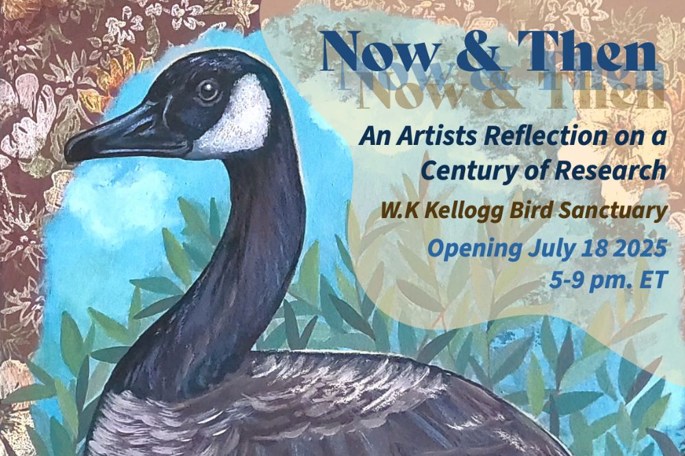 Illustrated promotional poster for an art exhibit titled Now & Then: An Artist's Reflection on a Century of Research. The background features a detailed painting of a Canada goose surrounded by stylized foliage and floral patterns. Text overlays the image, providing event details: W.K. Kellogg Bird Sanctuary, Opening July 18, 2025, 5–9 p.m.