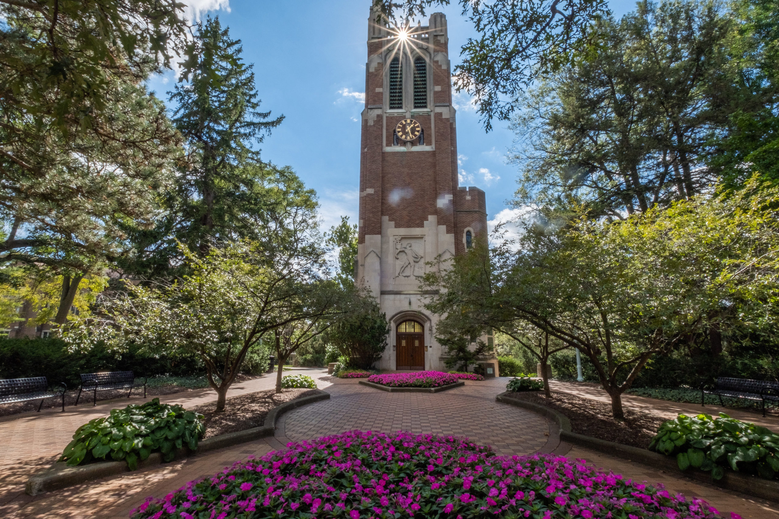 Beaumont Tower on a sunny day with green trees and fuchsia flowers